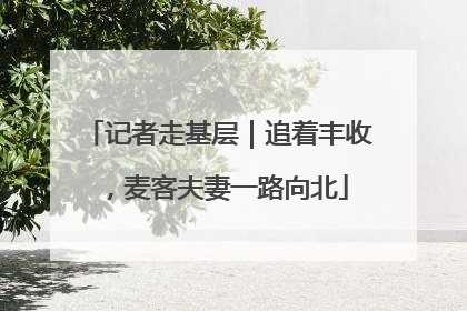 记者走基层｜追着丰收，麦客夫妻一路向北