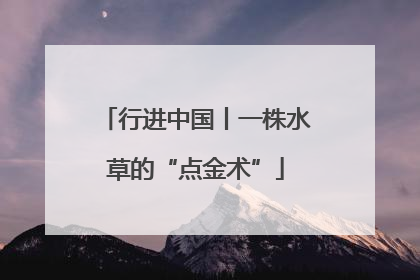 行进中国丨一株水草的“点金术”
