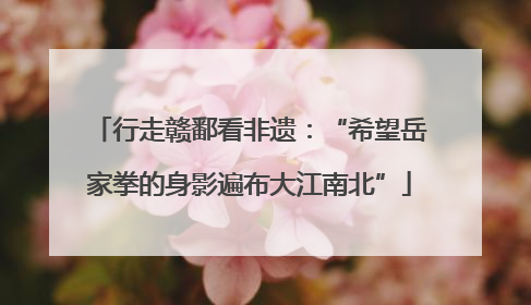 行走赣鄱看非遗：“希望岳家拳的身影遍布大江南北”