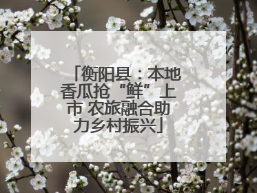 衡阳县：本地香瓜抢“鲜”上市 农旅融合助力乡村振兴
