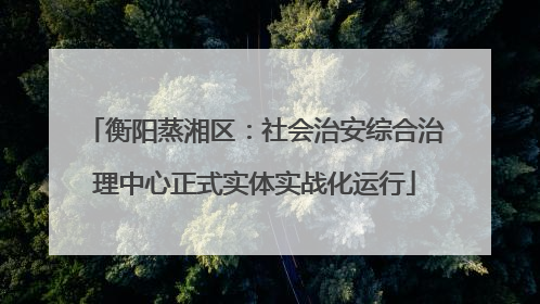 衡阳蒸湘区：社会治安综合治理中心正式实体实战化运行