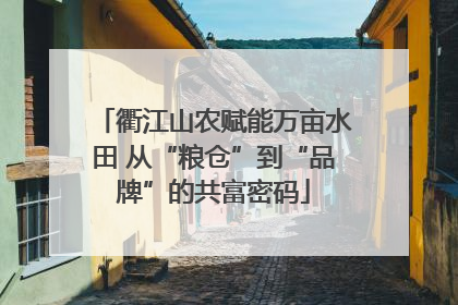 衢江山农赋能万亩水田 从“粮仓”到“品牌”的共富密码