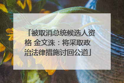被取消总统候选人资格 金文洙：将采取政治法律措施讨回公道
