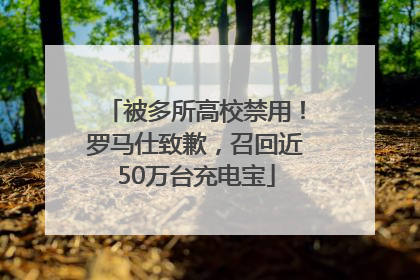 被多所高校禁用！罗马仕致歉，召回近50万台充电宝