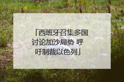 西班牙召集多国讨论加沙局势 呼吁制裁以色列