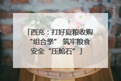 西充：打好夏粮收购“组合拳” 筑牢粮食安全“压舱石”