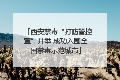 西安禁毒“打防管控宣”并举 成功入围全国禁毒示范城市
