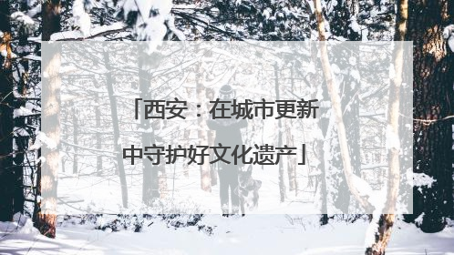 西安：在城市更新中守护好文化遗产