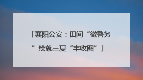 襄阳公安：田间“微警务”绘就三夏“丰收图”