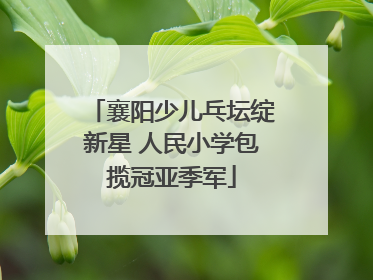 襄阳少儿乓坛绽新星 人民小学包揽冠亚季军
