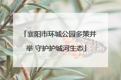 襄阳市环城公园多策并举 守护护城河生态