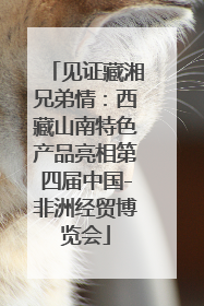 见证藏湘兄弟情：西藏山南特色产品亮相第四届中国-非洲经贸博览会