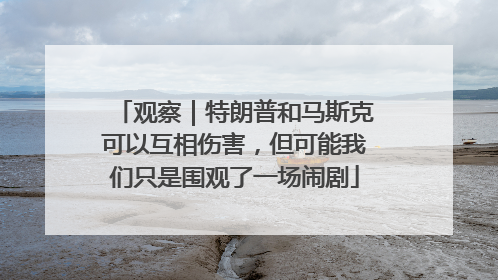 观察｜特朗普和马斯克可以互相伤害，但可能我们只是围观了一场闹剧