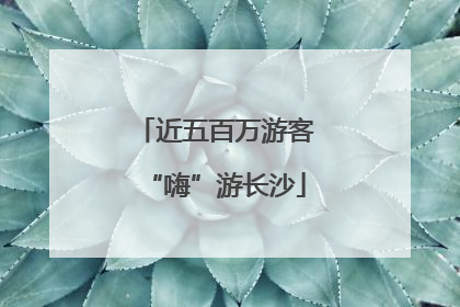 近五百万游客“嗨”游长沙