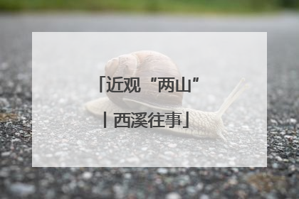 近观“两山”丨西溪往事