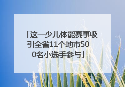 这一少儿体能赛事吸引全省11个地市500名小选手参与
