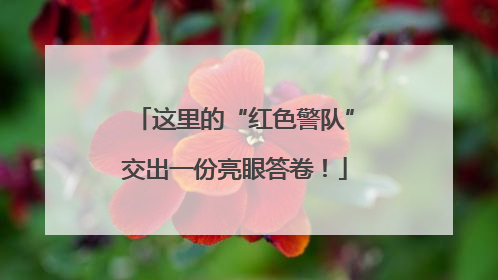 这里的“红色警队”交出一份亮眼答卷！