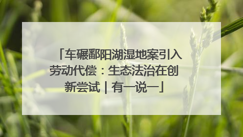 车碾鄱阳湖湿地案引入劳动代偿：生态法治在创新尝试｜有一说一