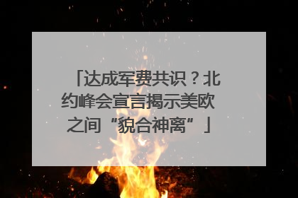 达成军费共识？北约峰会宣言揭示美欧之间“貌合神离”