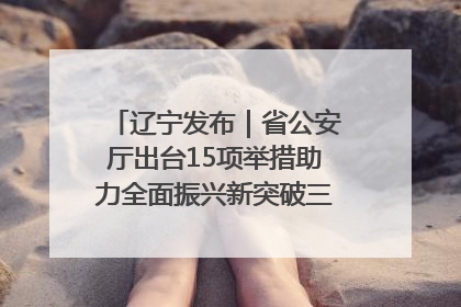辽宁发布｜省公安厅出台15项举措助力全面振兴新突破三年行动决胜之战