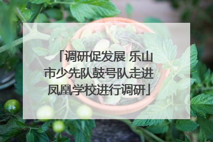 调研促发展 乐山市少先队鼓号队走进凤凰学校进行调研