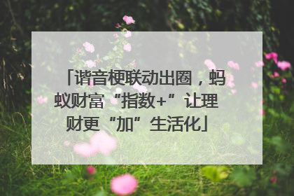 谐音梗联动出圈，蚂蚁财富“指数+”让理财更“加”生活化