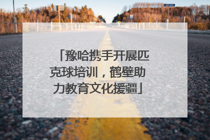 豫哈携手开展匹克球培训，鹤壁助力教育文化援疆