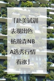 赴美试训表现出色 杨瀚森NBA选秀行情看涨