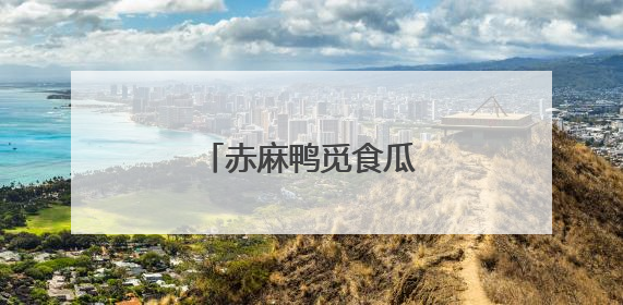 赤麻鸭觅食瓜州双塔湿地