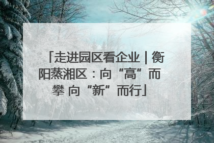 走进园区看企业｜衡阳蒸湘区：向“高”而攀 向“新”而行