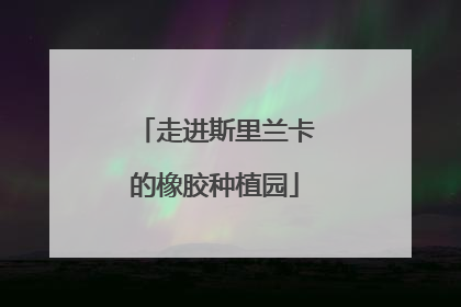 走进斯里兰卡的橡胶种植园