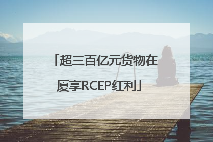 超三百亿元货物在厦享RCEP红利