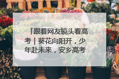 跟着网友镜头看高考｜葵花向阳开，少年赴未来，安乡高考首日的希望图景