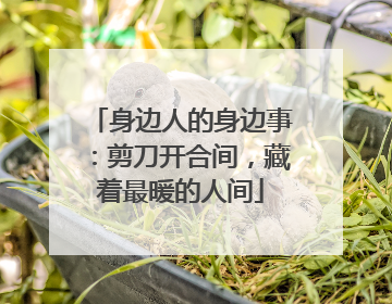 身边人的身边事：剪刀开合间，藏着最暖的人间