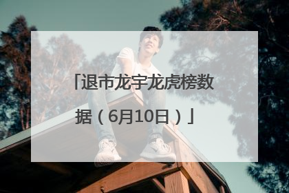 退市龙宇龙虎榜数据（6月10日）