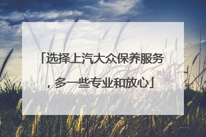 选择上汽大众保养服务，多一些专业和放心
