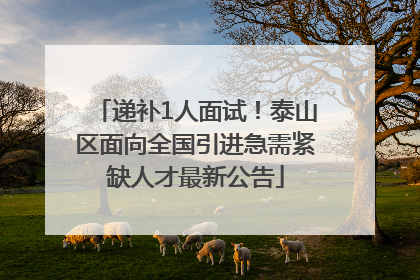 递补1人面试！泰山区面向全国引进急需紧缺人才最新公告