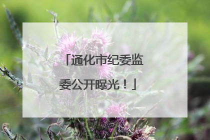 通化市纪委监委公开曝光！