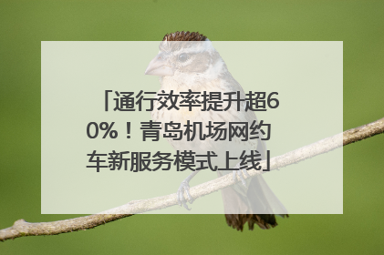 通行效率提升超60%！青岛机场网约车新服务模式上线