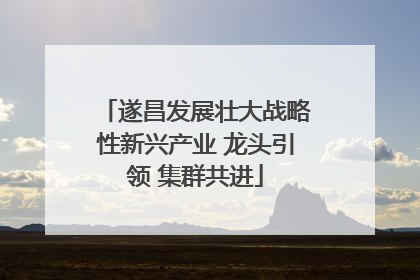遂昌发展壮大战略性新兴产业 龙头引领 集群共进
