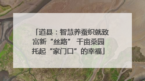 道县：智慧养蚕织就致富新“丝路” 千亩桑园托起“家门口”的幸福