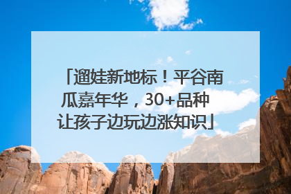 遛娃新地标！平谷南瓜嘉年华，30+品种让孩子边玩边涨知识