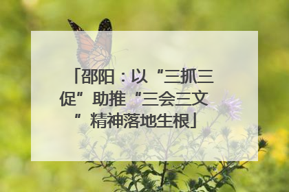 邵阳：以“三抓三促”助推“三会三文”精神落地生根