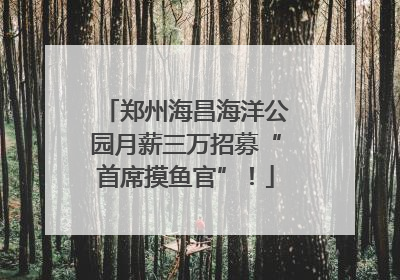 郑州海昌海洋公园月薪三万招募“首席摸鱼官”！
