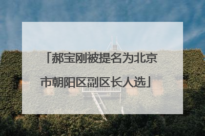 郝宝刚被提名为北京市朝阳区副区长人选