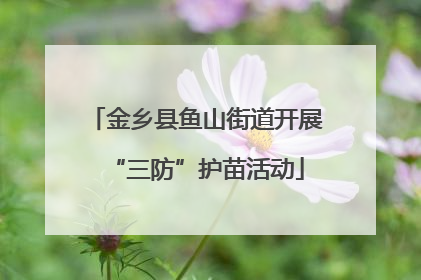 金乡县鱼山街道开展“三防”护苗活动