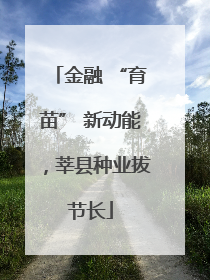金融 “育苗” 新动能，莘县种业拔节长