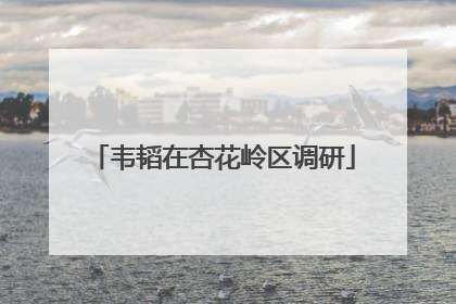 韦韬在杏花岭区调研
