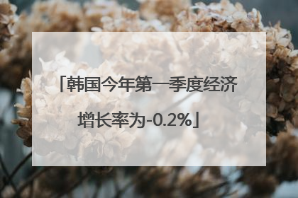 韩国今年第一季度经济增长率为-0.2%