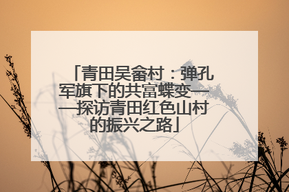 青田吴畲村：弹孔军旗下的共富蝶变——探访青田红色山村的振兴之路
